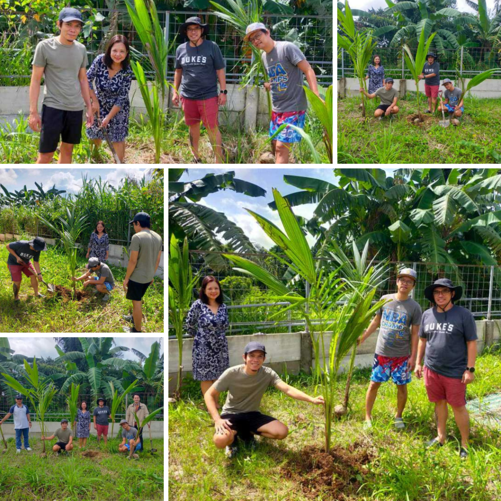 Tree Planting